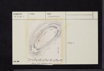 Gallowberry Wood, NT14SW 8, Ordnance Survey index card, Recto