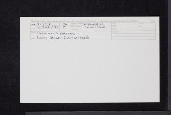 Cairn Wood, Barskeoch, NX36SE 1, Ordnance Survey index card, Recto