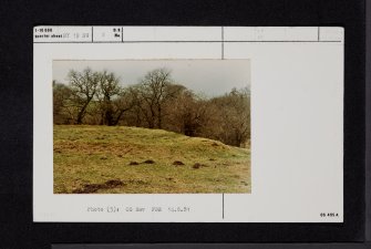 Wamphray Place, NY19NW 8, Ordnance Survey index card, Recto