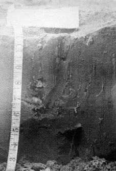 Excavation photograph : section of cutting.