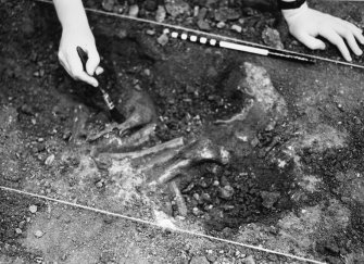 Excavation photograph - trench 6, (10) bones at north end of trench, from W