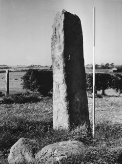 View of standing stone from S.