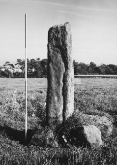 View of standing stone from W.