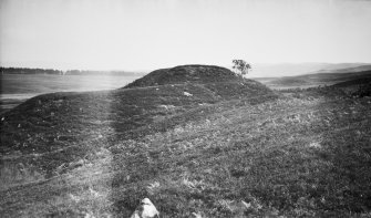 View of the mottle and bailey castle.