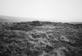 Greens Moor Long Cairn, north end from the NW.