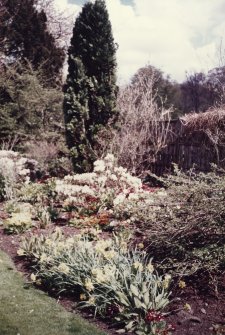 View of herbaceous border to S of house.