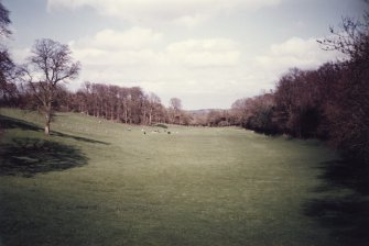 General view of parkland.