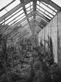 Interior.
Glasshouses, general view.