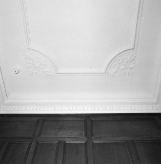Interior.
Ground floor, library, detail of ceiling.