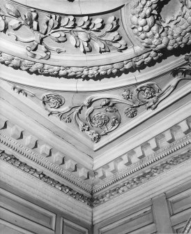 Interior.
Detail of low vestibule cornice and frieze.