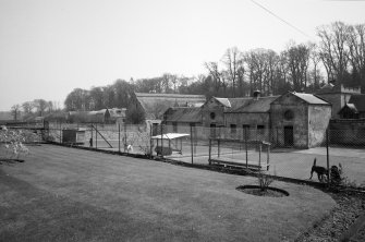 View of kennels from W
