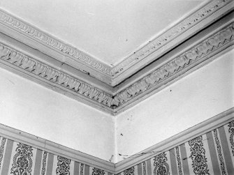 Interior.
First floor, SE room, detail of cornice.