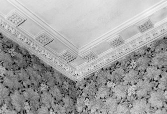 Interior.
Entrance hall, detail of cornice.