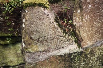 Minto House, Church and Graveyard
Fragment of a gravestone, showing the hilt and upper blade of a sword.