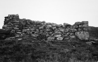 View of remains from NE