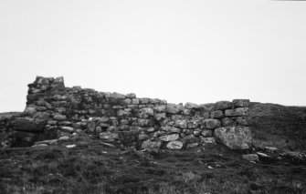 View of remains from NE.