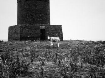 General view of plinth.