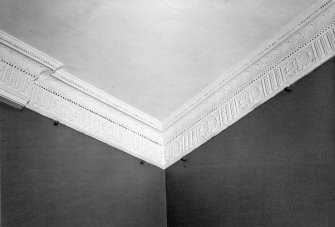 Interior.
Ground floor, dining room, detail of cornice.