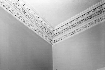 Interior.
Ground floor, library, detail of cornice.