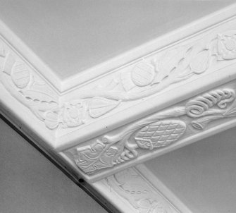 Interior. Drawing room detail of ceiling plasterwork