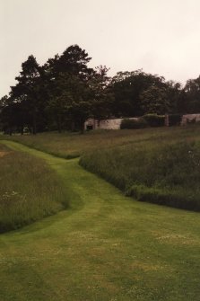 View of mown path to walled garden.