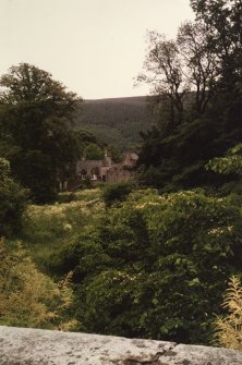 View of The Glen from garden cottage.
