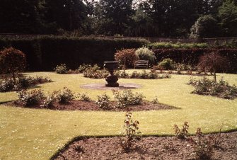 View of rose garden.