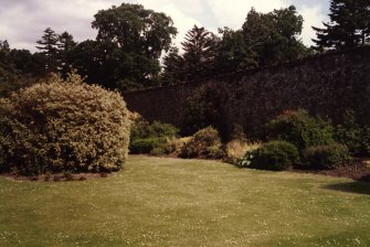 View of herbaceous borders.