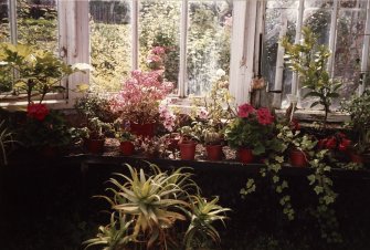 Interior.
Conservatory, view of display.