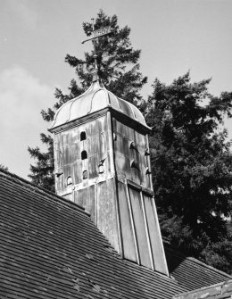 Stable, cupola cum dovecot with 1887 weather-vane, detail