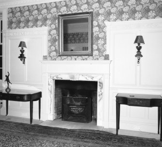 Interior. First floor, drawing room, fireplace, detail