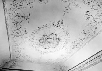 Interior.
Drawing room, detail of ceiling.