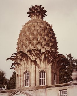 View of pineapple from SE.