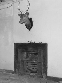 Interior. Detail of fireplace