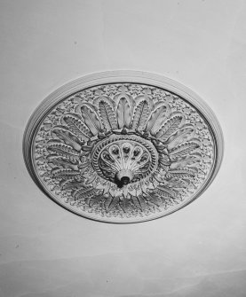 Interior.
Ground floor, SE corner apartment, detail of ceiling roundel.