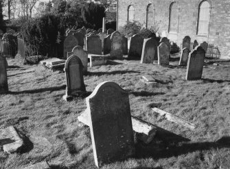 View of burial ground from SE.