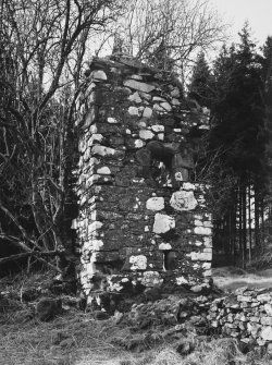 View of remains from E.