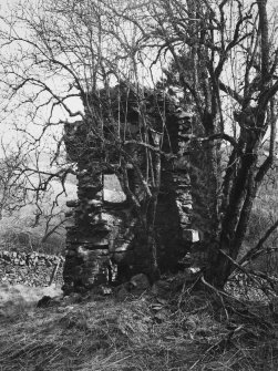 View of remains from SW.