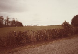 View of parkland.