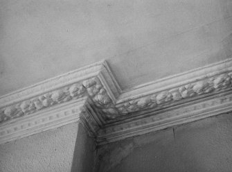 Interior.
Detail of cornice.