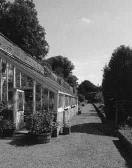 View of N wall greenhouse from  WSW