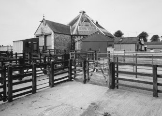 General view of market building with cattle stalls from E.