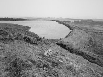 View of pond from E.