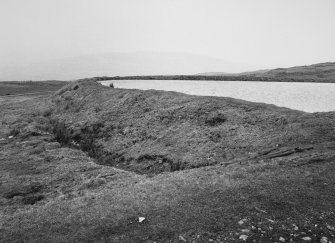 View of pond from SW.