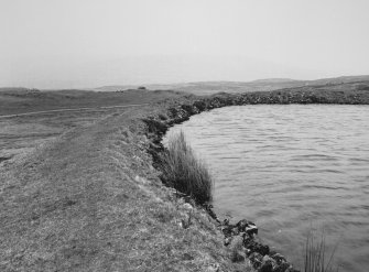 Detail of man-made bank of pond.