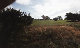 Survey photographs: General views of midden and surrounding area; details of midden; rig-and-furrow visible on golf course.