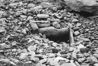 Excavation, view of cist