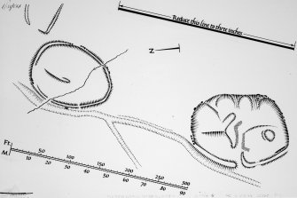 Publication Drawing: Scooped Settlement and Enclosure, Stanhope Cottage