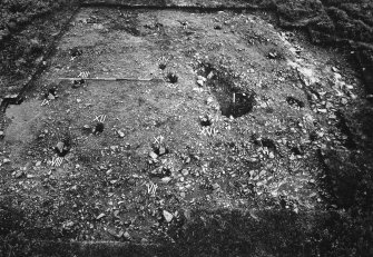 View of excavation showing the whole site with stones in numbered postholes
