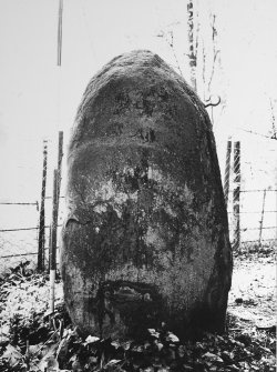 Cammo, standing stone from N. 
RCAHMS 1976